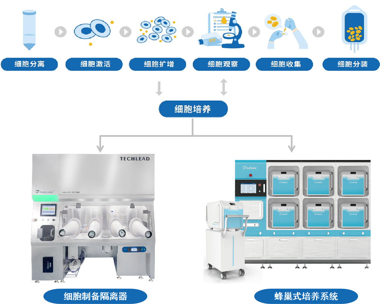 1737444961692075NVH3.png 圖片2.png